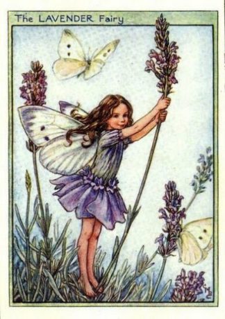 Lavender Flower Fairy