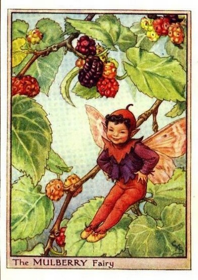 Mulberry Flower Fairy