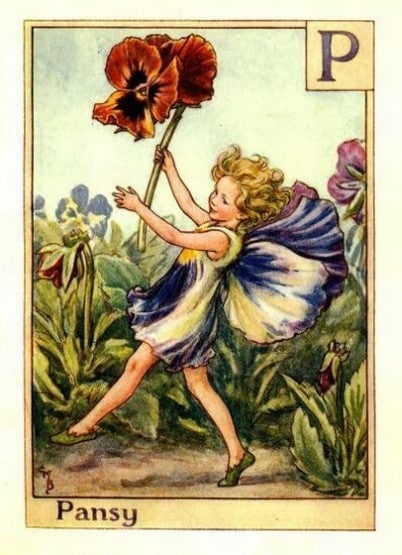 Pansy Flower Fairy