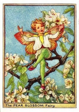 Pear Blossom Flower Fairy