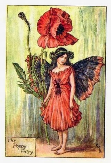 Poppy Flower Fairy