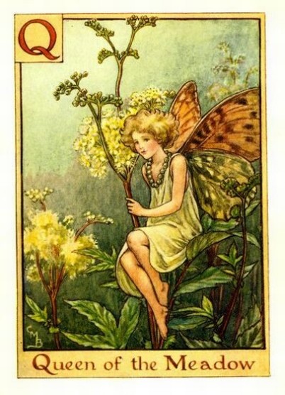 Queen of the Meadow Flower Fairy