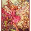 Rose Bay Willow Herb Flower Fairy