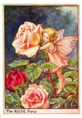 Rose Flower Fairy
