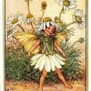 Scentless Mayweed Flower Fairy