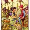 Self Heal Flower Fairy
