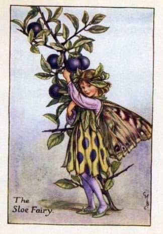 Sloe Flower Fairy