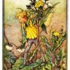 Sow Thistle Flower Fairy
