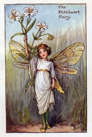 Stitchwort Flower Fairy