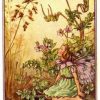 Storks Bill Flower Fairy