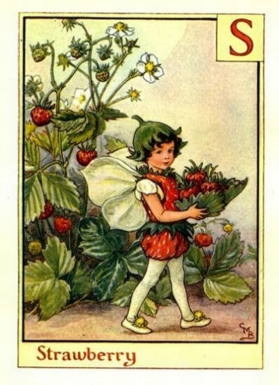 Strawberry Flower Fairy