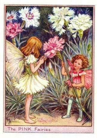The Pink Flower Fairy