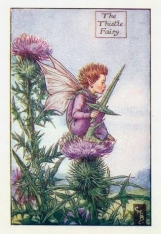 Thistle Flower Fairy