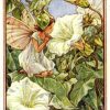 White Bindweed Flower Fairy