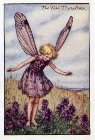 Wild Thyme Flower Fairy