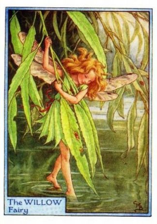 Willow Tree Flower Fairy