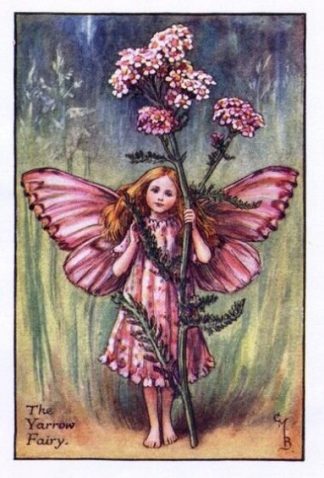 Yarrow Flower Fairy