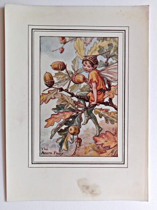 Acorn Fairy Print