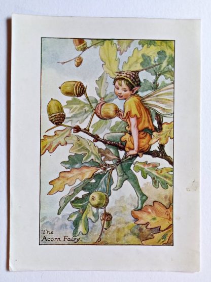 Acorn Flower Fairy Print