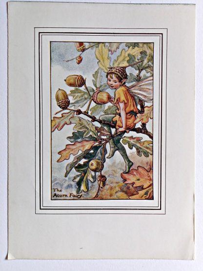 Acorn Vintage Fairy Print
