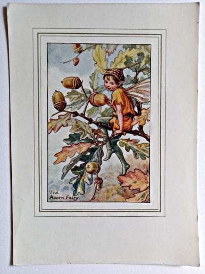 Acorn Vintage Flower Fairy Print