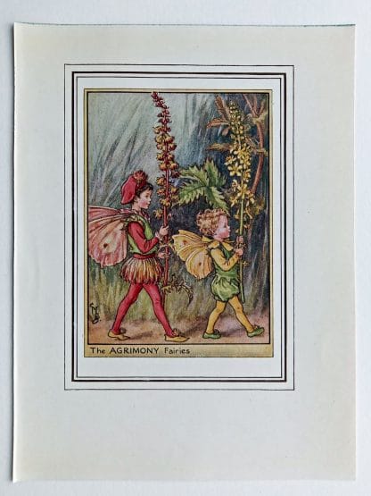 Agrimony Fairies Print