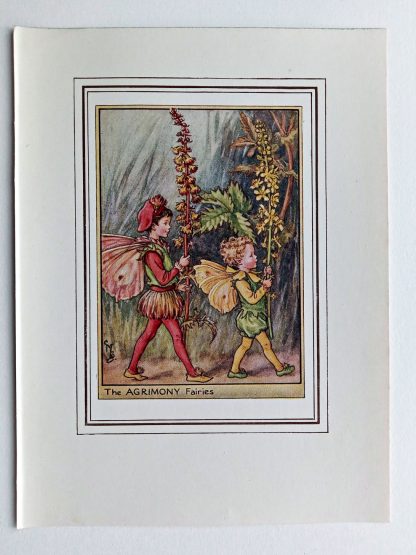 Agrimony Fairy Print