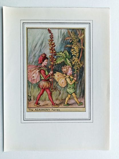 Agrimony Vintage Fairy Print