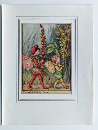 Agrimony Vintage Flower Fairy Print