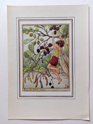 Alder Fairies Print