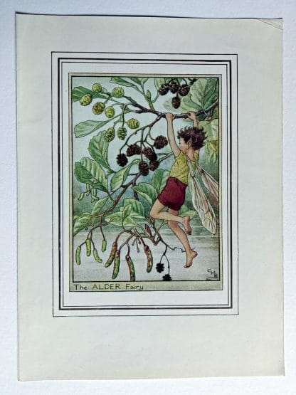 Alder Fairy Print