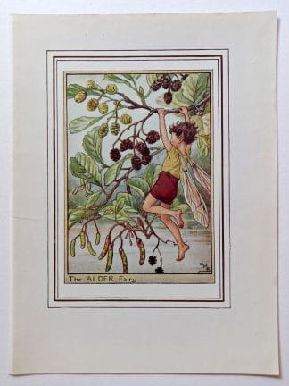 Alder Vintage Fairy Print