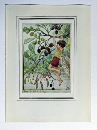 Alder Vintage Flower Fairy Print