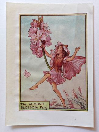 Almond Blossom Fairy Print