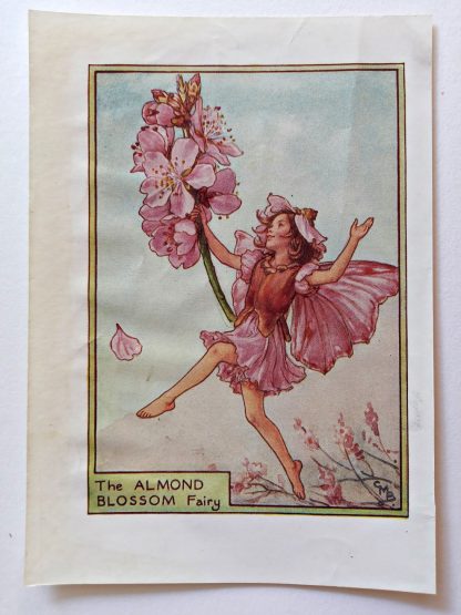 Almond Blossom Fairy Print