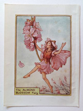 Almond Blossom Vintage Fairy Print