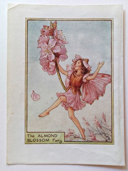 Almond Blossom Vintage Flower Fairy Print