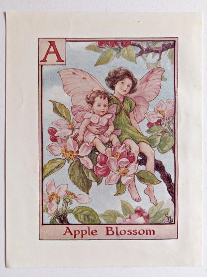 Apple Blossom Fairy Print