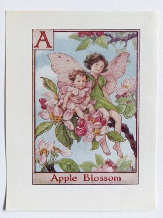 Apple Blossom Flower Fairy Print