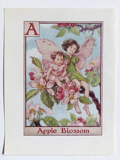 Apple Blossom Flower Fairy Print