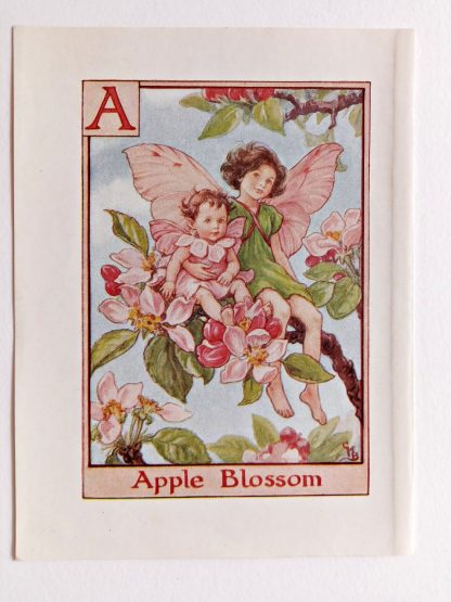Apple Blossom Vintage Flower Fairy Print
