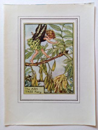 Ash Tree Fairies Print