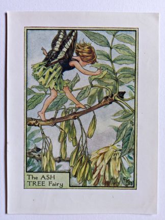 Ash Tree Flower Fairy Print