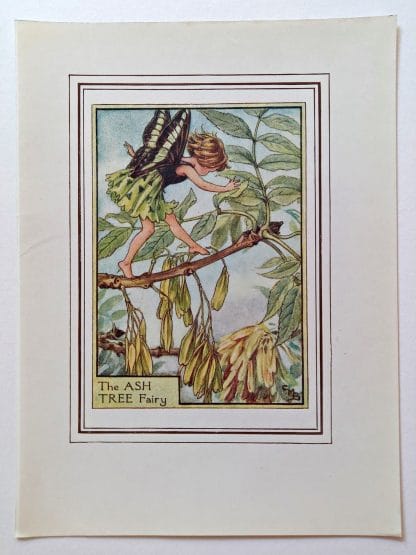 Ash Tree Vintage Fairy Print