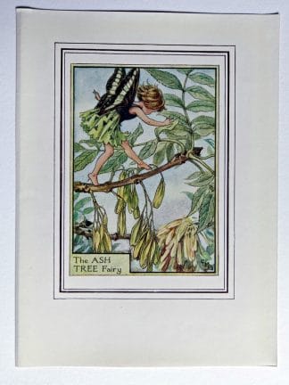 Ash Tree Vintage Flower Fairy Print
