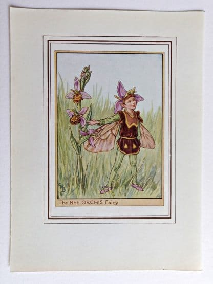Bee Orchis Fairies Print