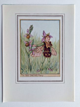 Bee Orchis Fairy Print