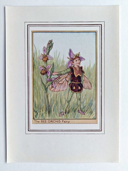 Bee Orchis Vintage Fairy Print