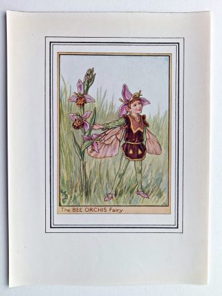 Bee Orchis Vintage Flower Fairy Print