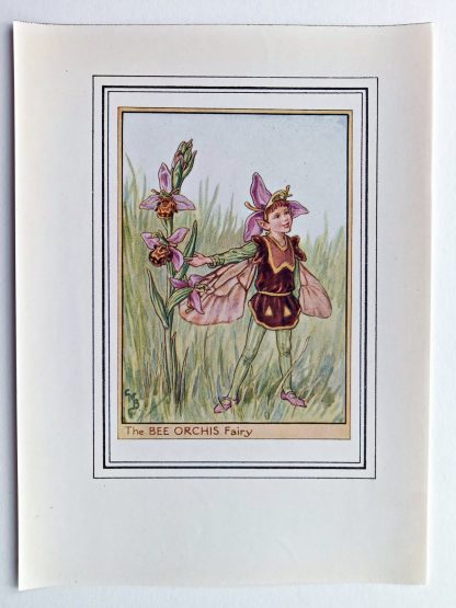 Bee Orchis Vintage Flower Fairy Print